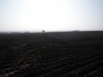 preparing-for-world-ploughing-grassland-in-March-2014